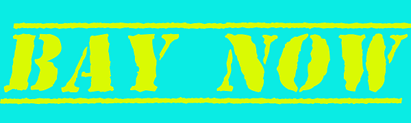 商品ページ.png