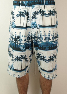 aloha_shorts-bl.jpg